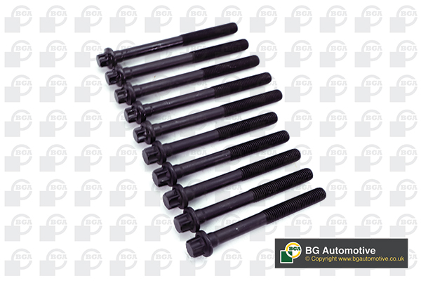 Болти головки блоку Kangoo/Logan/Clio/Megane/Sandero 1.4/1.6 96-