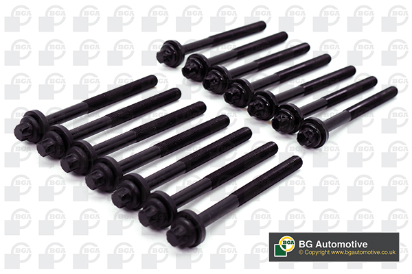Болти головки блоку BMW 3-7 (E34/E39/E46E60/E61) X3/X5/Omega B 2.5TDI 99- (к-кт)