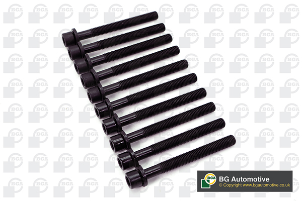 Болти головки блоку VW 2.5TDI (10 шт к-кт)