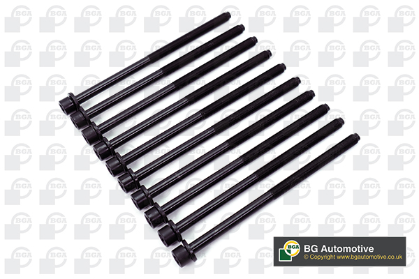 Болти головки блоку Doblo/Punto/Astra H/Vectra C 1.9 JTD/CDTI 01- (к-кт) (L=224mm)