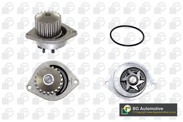 Водяний насос Xsara/Micra/Peugeot 205/306/309/405 1.4/1.5D/1.6 91-