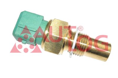 Датчик температури (чорний/зелений) BERLINGO/JUMPY 1.9D 98-08