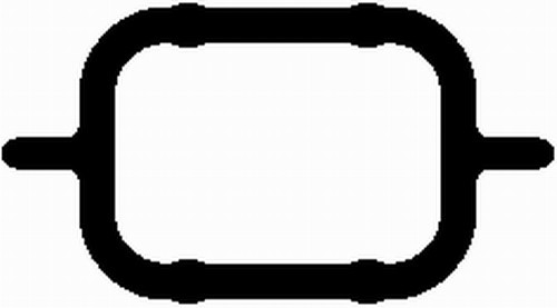 Прокладка колектора впуск BMW 1/3/5/6/7/X3/X5/X6 98-13