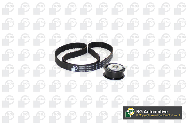 Комплект ГРМ T4/Golf III/Passat/Audi 80/A4/A6 1.9TDI >00