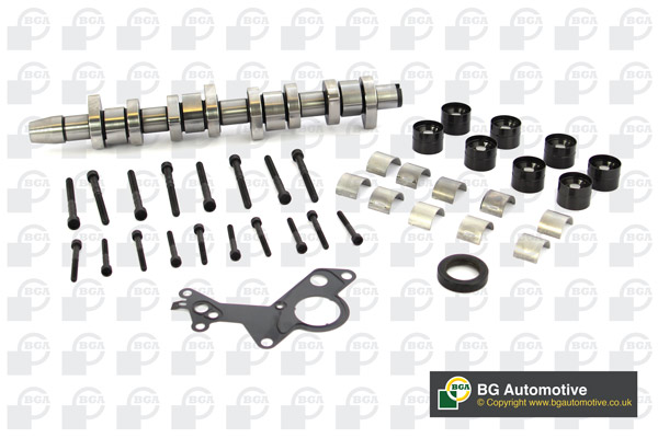 Розподільний вал (комплект) Audi/VW/Skoda 1.9TDI (AXC/AXB/) 03-09